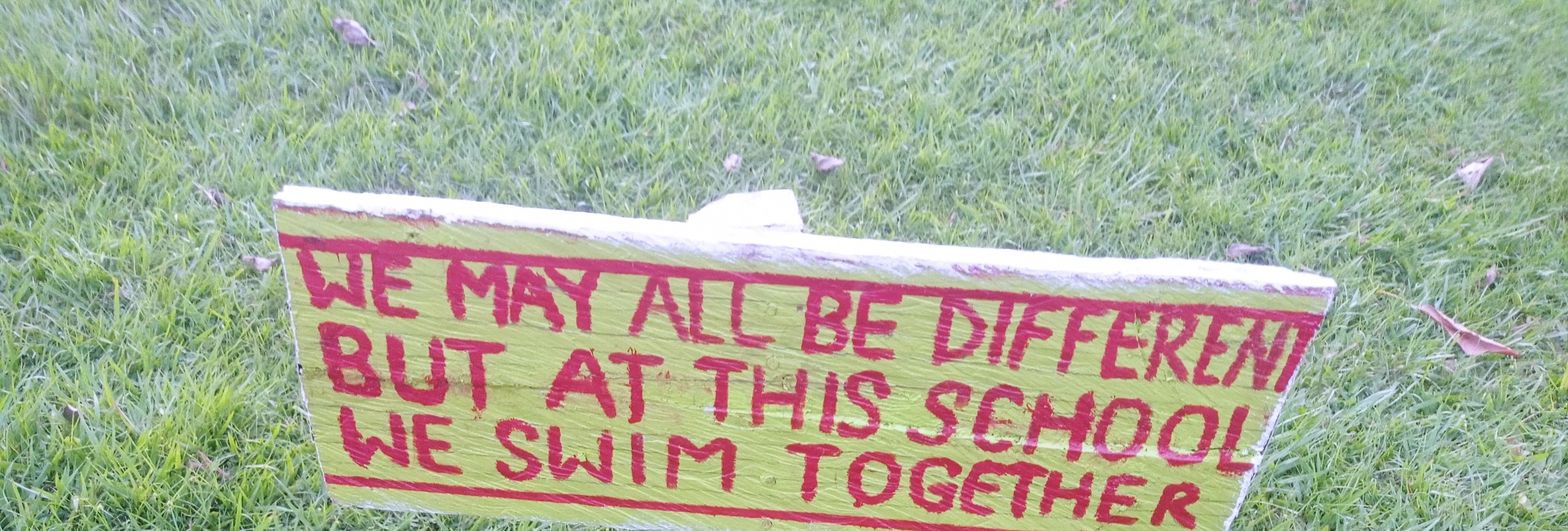 We Swim Together