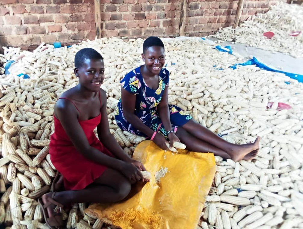 Youths happy to help peel the maize