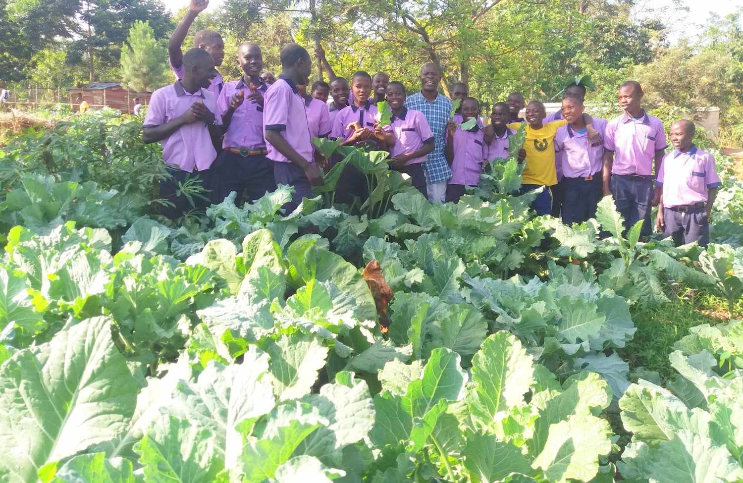 Sustainability projects at Hope for Youth
