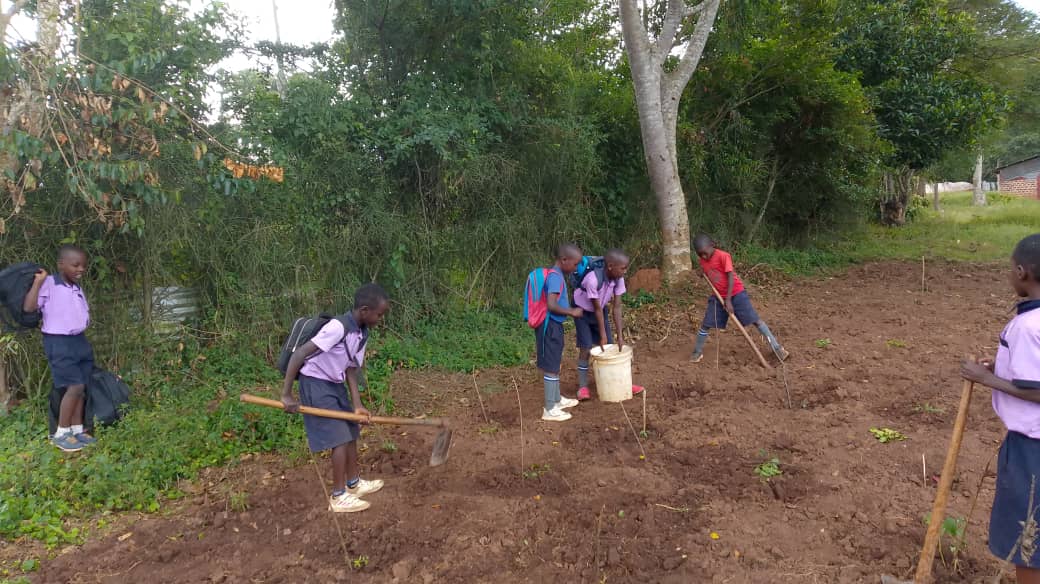 Healthy environments for healthy children