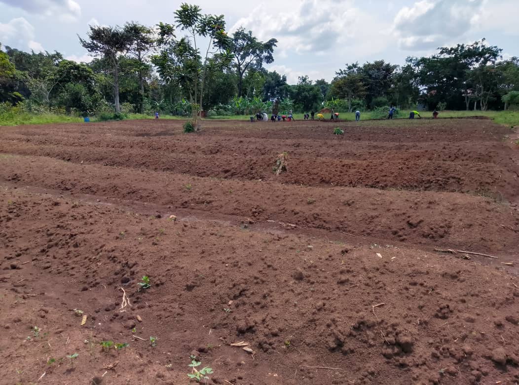Learners caring for the land